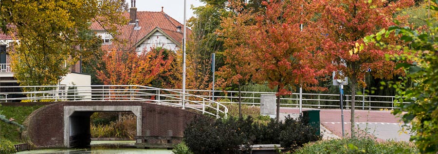 Brug Rijerskoop